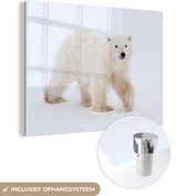 MuchoWow® Glasschilderij 80x60 cm - Schilderij acrylglas - IJsbeer - Sneeuw - Wit - Foto op glas - Schilderijen