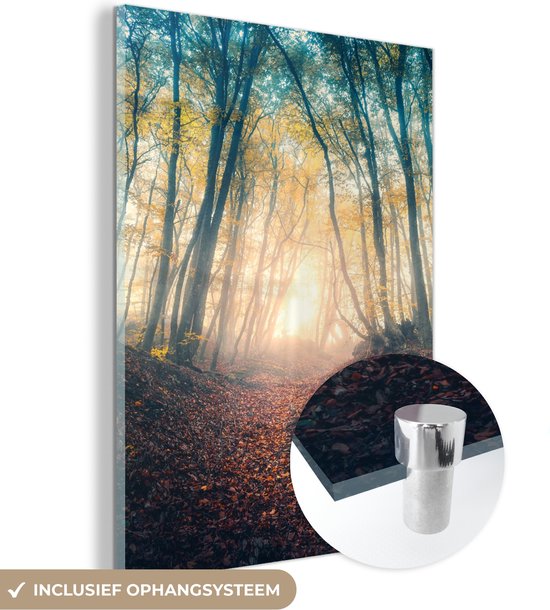 MuchoWow® Glasschilderij 30x40 cm - Schilderij acrylglas - Bos - Mist - Zon - Herfst - Foto op glas - Schilderijen