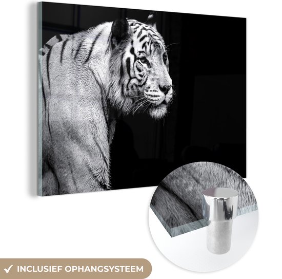 Peinture sur verre - Profil animal tigre en noir et blanc - 90x60 cm - Peintures sur Verre Peintures - Photo sur Glas