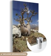 MuchoWow® Glasschilderij 40x60 cm - Schilderij acrylglas - Woestijnroos op het Socotra eiland in Azië - Foto op glas - Schilderijen