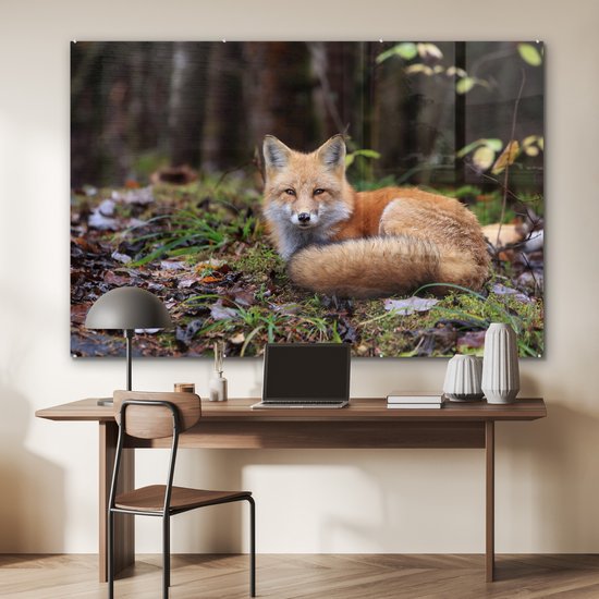MuchoWow® Peinture sur verre - Renard - Forêt - Animal - 150x100 cm - Peintures sur verre acrylique - Photo sur Glas
