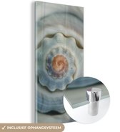 MuchoWow® Glasschilderij 80x160 cm - Schilderij acrylglas - Schelp - Spiraal - Zee - Foto op glas - Schilderijen