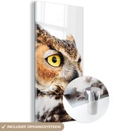 MuchoWow® Glasschilderij 60x120 cm - Schilderij acrylglas - Bruine uil met een witte achtergrond - Foto op glas - Schilderijen