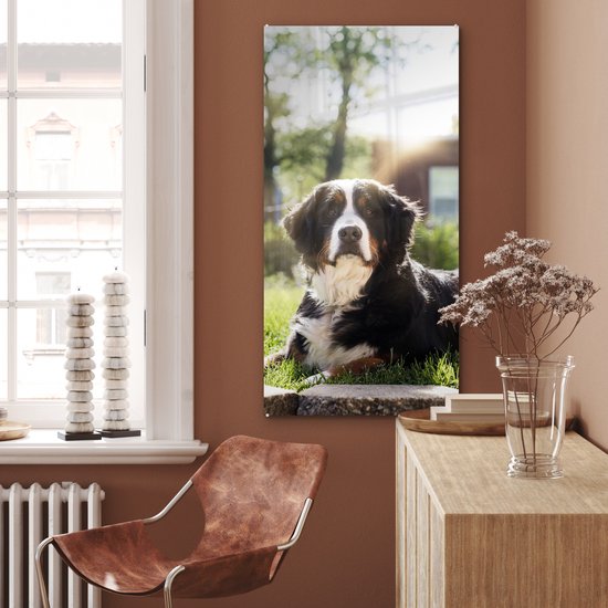 MuchoWow® Peinture sur verre 60x120 cm - Peinture sur verre - Rayons de soleil le long du bouvier Berner - Photo sur verre acrylique - Peintures
