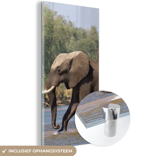 Plexiglas Schilderijen - Een olifant steekt de Zambezi rivier over in het Nationaal park Lower Zambezi - Glasschilderij