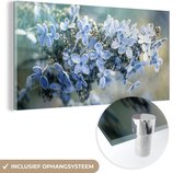 MuchoWow® Glasschilderij 120x60 cm - Schilderij acrylglas - Close-up bevroren hortensia - Foto op glas - Schilderijen