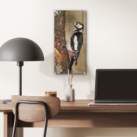 Peinture sur Verre - Un Pic épeiche en Automne - 20x40 cm - Peintures sur Verre Peintures - Photo sur Glas