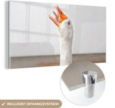 MuchoWow® Peinture sur verre - Oie béante dans une ferme - 80x40 cm - Peintures sur verre acrylique - Photo sur Glas