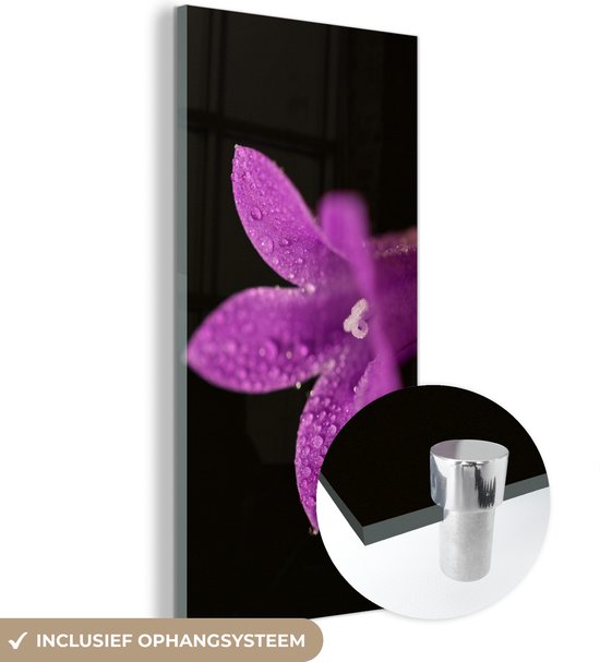 MuchoWow® Glasschilderij 20x40 cm - Schilderij acrylglas - Een close-up van een paarse lelie op een zwarte achtergrond - Foto op glas - Schilderijen
