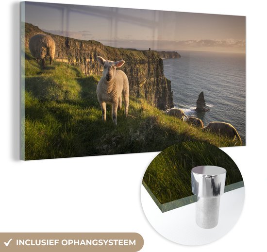 MuchoWow® Glasschilderij 120x60 cm - Schilderij acrylglas - Schaap - Natuur - Ierland - Foto op glas - Schilderijen