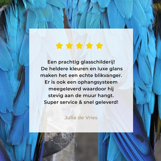 Deux aras en Glas 80x120 cm - Tirage photo sur Glas (décoration murale en plexiglas)