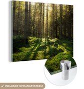 Glasschilderij - Acrylglas - Glasschilderij natuur - Natuur - Boom - Bossen - Wanddecoratie - 160x120 cm - Foto op glas - Schilderij glas - Slaapkamer