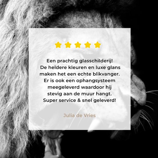 Peinture sur verre - Photo sur verre - Verre acrylique - Animaux - Lion - Zwart - Wit - 180x120 cm - Décoration de chambre - Peinture sur verre animaux - Décoration murale verre - Peinture sur verre lion
