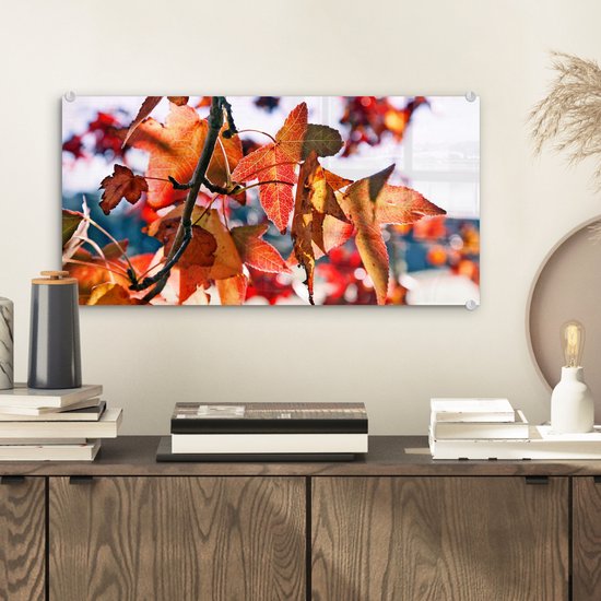 MuchoWow® Glasschilderij 40x20 cm - Schilderij acrylglas - Esdoorn - Bladeren - Landelijk - Herfst - Foto op glas - Schilderijen