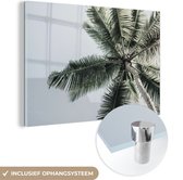 MuchoWow® Glasschilderij 60x40 cm - Schilderij acrylglas - Palmboom - Tropical - Zomer - Foto op glas - Schilderijen