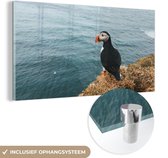 MuchoWow® Glasschilderij 160x80 cm - Schilderij acrylglas - IJsland - Papegaai - Water - Foto op glas - Schilderijen