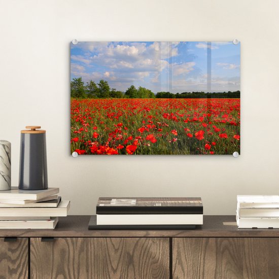 Peinture sur Verre - Coquelicots - Fleurs - Printemps - 30x20 cm - Peintures sur Verre Peintures - Photo sur Glas