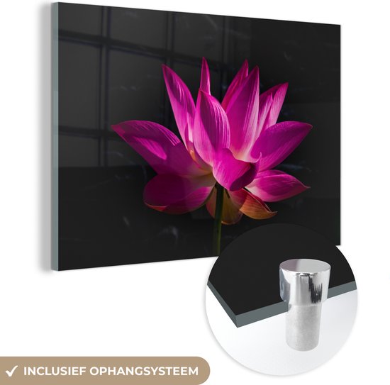 MuchoWow® Glasschilderij 60x40 cm - Schilderij acrylglas - Lotus - Roze - Bloem - Foto op glas - Schilderijen