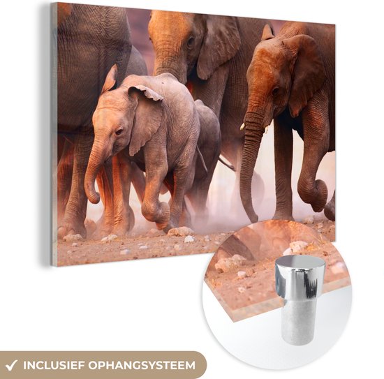 MuchoWow® Peinture sur verre 180x120 cm - Peinture acrylique sur verre - Éléphant - Animaux - Tissu - Photo sur verre - Peintures