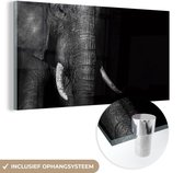 MuchoWow® Glasschilderij 160x80 cm - Schilderij acrylglas - Olifant - Tanden - Zwart - Wit - Foto op glas - Schilderijen