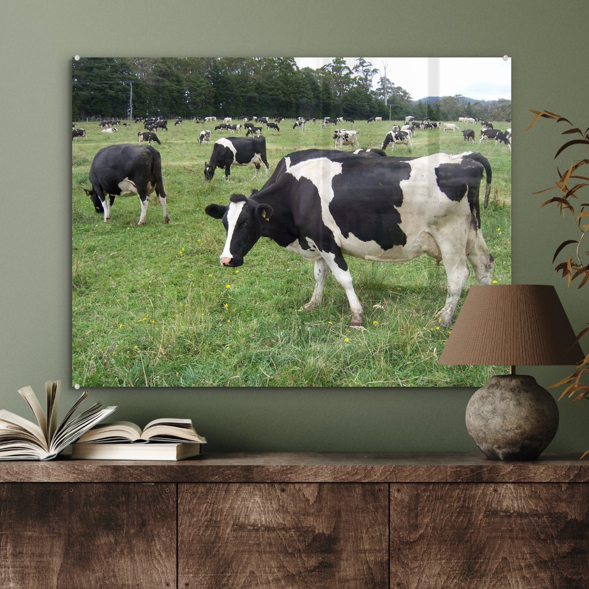 Vaches, Alpes Suisse, stéréo photo plaque verre, noir & blanc, 9x12 cm