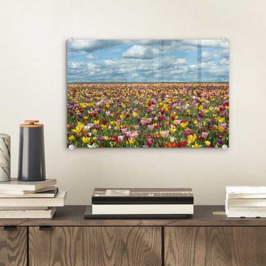 Champs de tulipes en Glas Oregon 30x20 cm - petit - Tirage photo sur Glas (décoration murale en plexiglas)