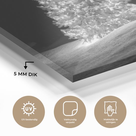 Peinture sur verre - Un sapin de Noël illuminé la nuit - noir et blanc - 180x120 cm - Peintures sur Verre Peintures - Photo sur Glas