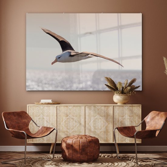 MuchoWow® Peinture sur verre 150x100 cm - Peinture sur verre acrylique - Albatros - Zwart - Vogel - Photo sur verre - Peintures