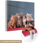 MuchoWow® Glasschilderij 90x90 cm - Schilderij acrylglas - Kittens - Blauw - Roze - Meisjes - Kinderen - Jongens - Kind - Foto op glas - Schilderijen
