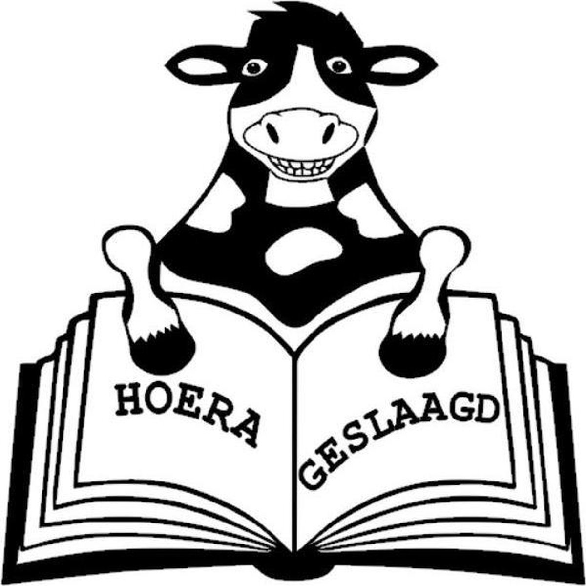 Sticker raam geslaagd koe met boek | Rosami