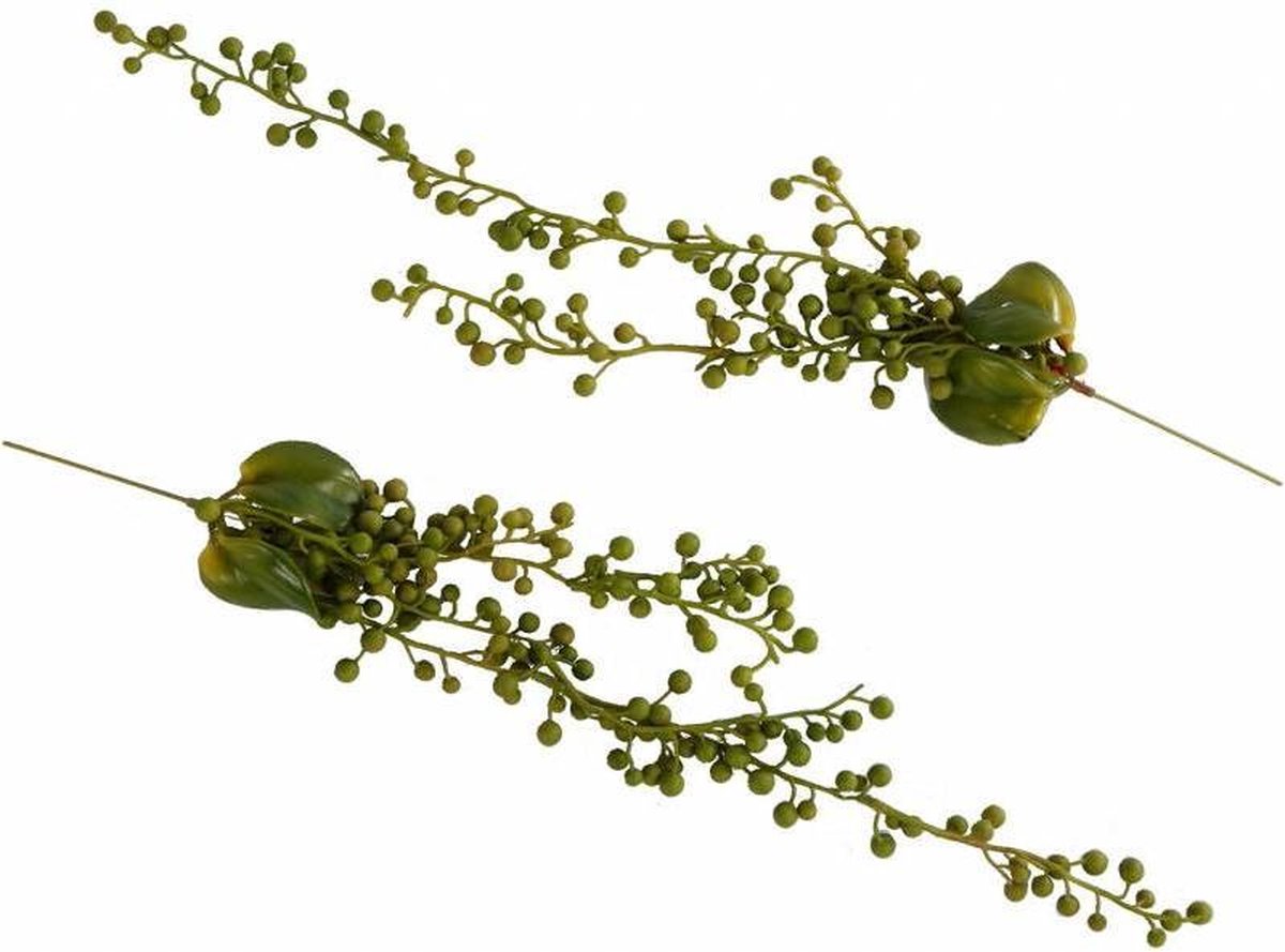 Senecio hanger green 60cm