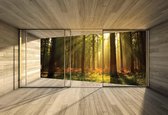 Fotobehang Window Forest Trees Beam Light Nature | XXXL - 416cm x 254cm | 130g/m2 Vlies