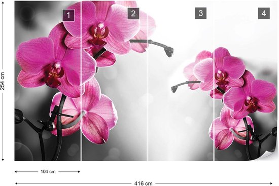 Papier Peint Fleurs  | XXXL - 416 cm x 254 cm | Polaire 130g / m2