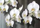 Fotobehang Flowers  | XL - 208cm x 146cm | 130g/m2 Vlies