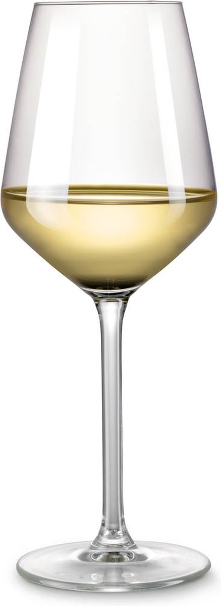 Absoluut Achtervolging Nest Blokker witte wijnglazen Luxe - 38 cl - set van 4 | bol.com