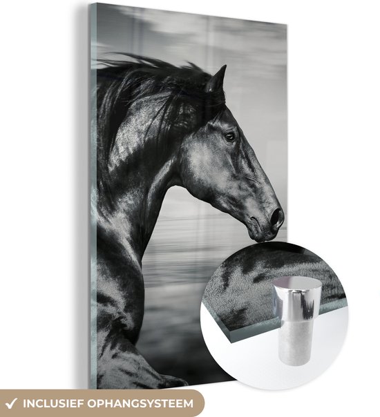 MuchoWow - Peinture sur verre - Photo sur verre - Verre acrylique - Animaux - Cheval - Nature - Zwart et blanc - Décoration murale - 100x150 cm - Peinture cheval - Peintures de salon