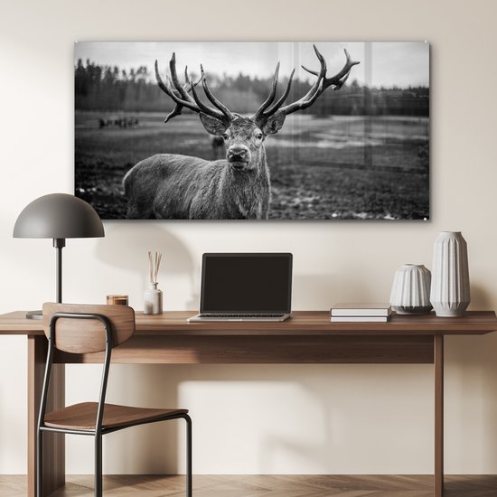 Tableau sur verre - Photo sur verre - Animaux - Cerf - Bois - Forêt - Nature - 120x60 cm - Verre acrylique - Décoration murale verre - Tableau sur verre cerf - Tableau sur verre animaux - Décoration d'intérieur