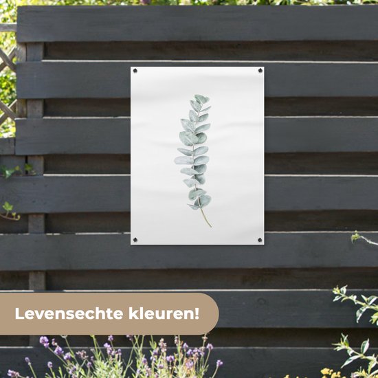 Tuinposter 60x80 cm - Tuindecoratie Plant - Groen - Natuur - Wit - Poster voor in de tuin - Buiten decoratie - Schutting tuinschilderij - Tuindoek muurdecoratie - Wanddecoratie balkondoek