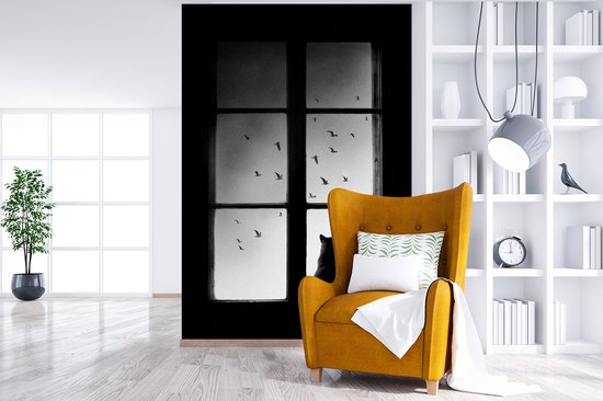 Kat - Dieren - Zwart wit - Raam