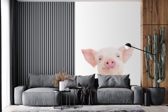 Varken - Roze - Dieren - Natuur - Behangpapier