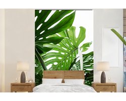 Behang - Fotobehang Planten - Groen - Jungle - Natuur - Breedte 225 cm x hoogte 350 cm - Behangpapier