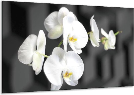 Schilderij Op Canvas Orchidee - Zwart, Wit, Grijs - 120x70cm 1Luik - Foto Op Canvas - GroepArt 6000+ Schilderijen 0p Canvas Art Collectie - Wanddecoratie - Woonkamer - Slaapkamer - Canvas Print