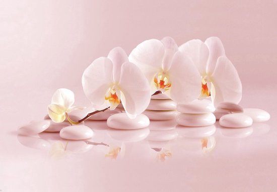 Papier peint photo - Papier peint intissé - Spa - Orchidée - Pierres - Wellness - Zen - Yoga - 208 x 146 cm