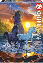Puzzle 1000 pièces - Licorne sur la plage - Vincent Hie (1000)