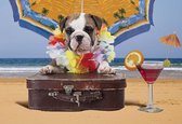 Fotobehang - Vlies Behang - Kinderbehang - Hond op het Strand - 368 x 254 cm