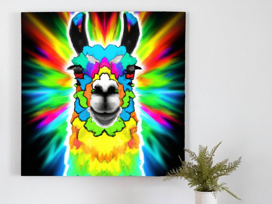 Lsd lama | LSD lama | Kunst - 60x60 centimeter op Canvas | Foto op Canvas - wanddecoratie schilderij