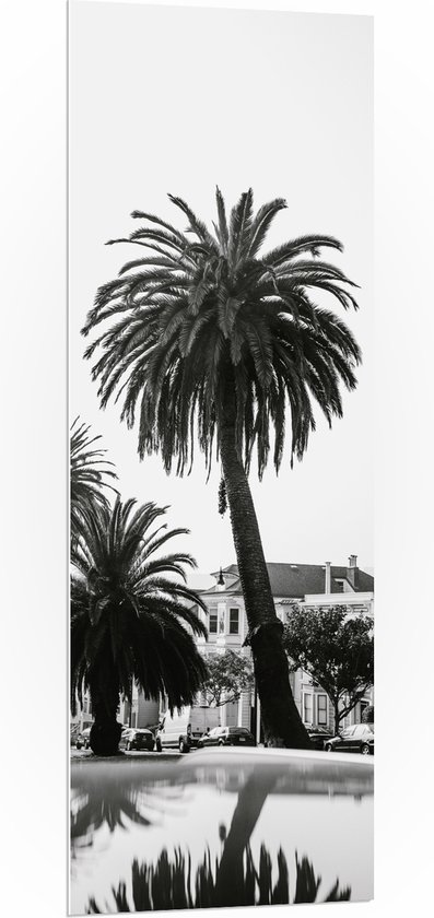 WallClassics - PVC Schuimplaat- Palmbomen in Amerikaanse Buurt (Zwart- wit) - 50x150 cm Foto op PVC Schuimplaat