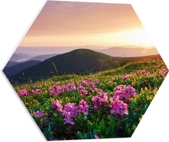 PVC Schuimplaat Hexagon - Roze Bloemen op de Bergen van Landschap tijdens Zonsopkomst - 60x52.2 cm Foto op Hexagon (Met Ophangsysteem)