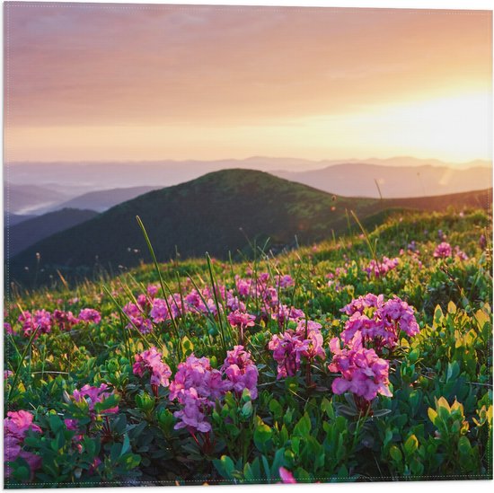 Vlag - Roze Bloemen op de Bergen van Landschap tijdens Zonsopkomst - 50x50 cm Foto op Polyester Vlag