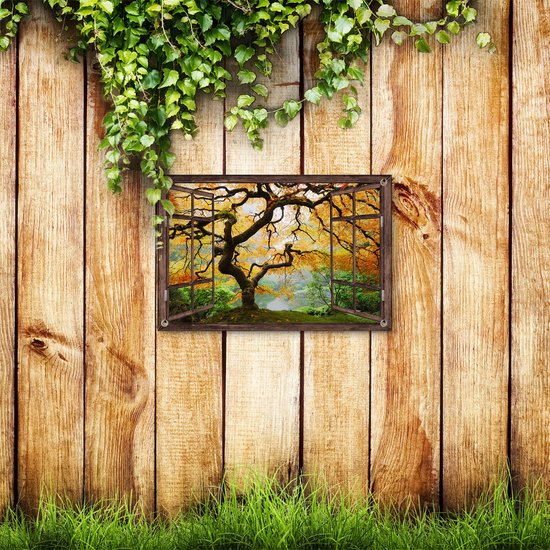 Gards Affiche jardin Vieux Arbre noueux transparent - 60x40 cm - Toile jardin - Décoration de jardin - Décoration murale extérieur - Tableau jardin